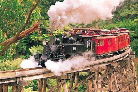 Yarra Valley Wineries And Puffing Billy Steam Train Tour From Melbourne - Newcastle Accommodation 33
