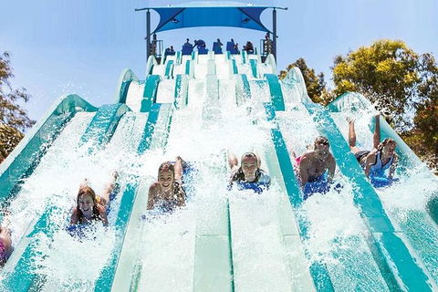 Adventure Park Geelong: General Admission Ticket - New Castle Tourism 1