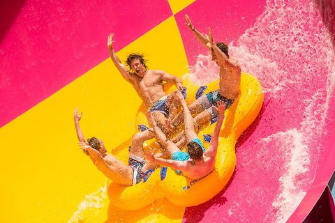 Adventure Park Geelong: General Admission Ticket - New Castle Tourism 0