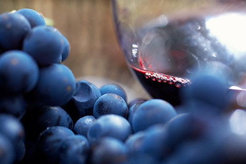 Small Group 6 Guests: Ultimate Yarra Valley Food And Wine - Mercedes Van - Newcastle Accommodation 4