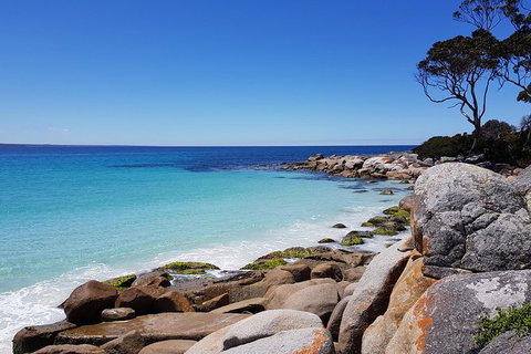 Tasmania 6 Day \'Tour In Circle\' - New Castle Tourism 4