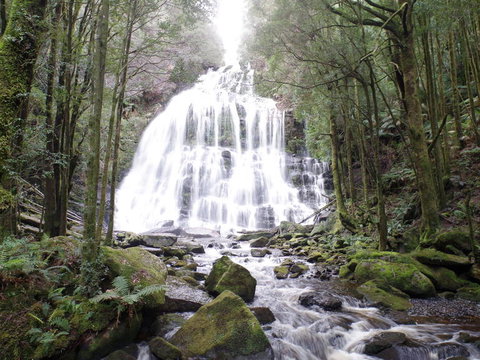 5-Day Best Of Tasmania Tour From Hobart - New Castle Tourism 2