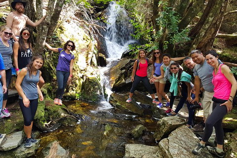 5-Day Best Of Tasmania Tour From Hobart - New Castle Tourism 9