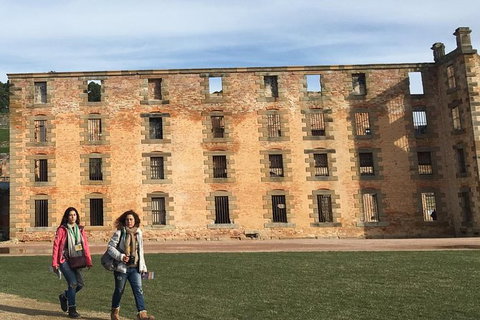 Port Arthur And Tassie Devils Active Day Tour From Hobart - New Castle Tourism 3