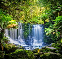 Day Tour in Mt. Field Mt. Wellington Bonorong Wildlife Sanctuary and Richmond - New Castle Tourism