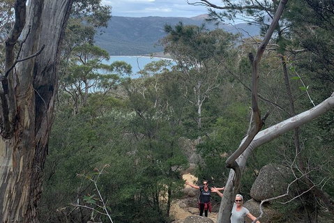 Wineglass Bay And Freycinet National Park Active Day Trip From Hobart - New Castle Tourism 14