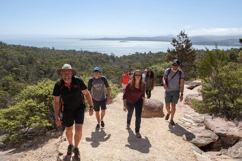 Wineglass Bay And Freycinet National Park Active Day Trip From Hobart - New Castle Tourism 26