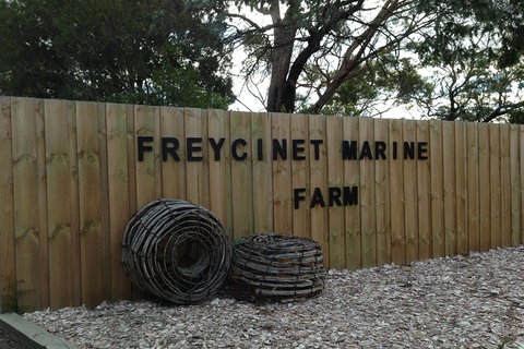 Wineglass Bay And Freycinet National Park Active Day Trip From Hobart - New Castle Tourism 20