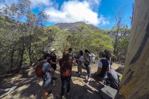 Wineglass Bay And Freycinet National Park Active Day Trip From Hobart - New Castle Tourism 9