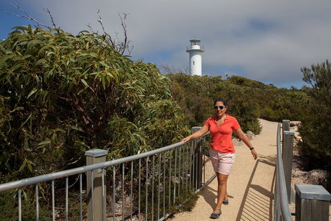 Wineglass Bay And Freycinet National Park Active Day Trip From Hobart - New Castle Tourism 29