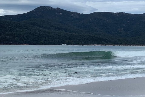 Wineglass Bay And Freycinet National Park Active Day Trip From Hobart - New Castle Tourism 17