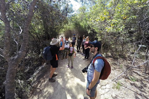 Wineglass Bay And Freycinet National Park Active Day Trip From Hobart - New Castle Tourism 19