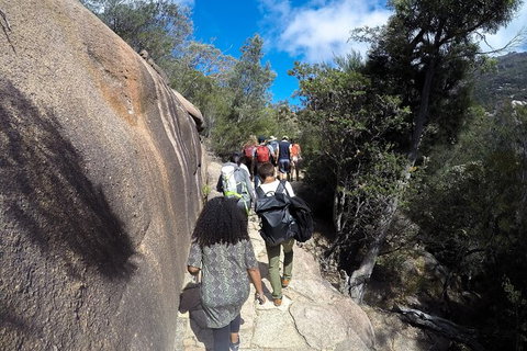 Wineglass Bay And Freycinet National Park Active Day Trip From Hobart - New Castle Tourism 21