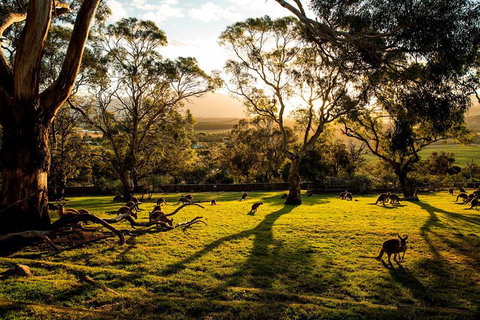 Shore Excursion: Five Of Hobart's Best In One Day - New Castle Tourism 1