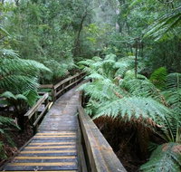 Small-group DayTour from Hobart Hastings Caves Huon Valley and Tahune AirWalk - New Castle Tourism