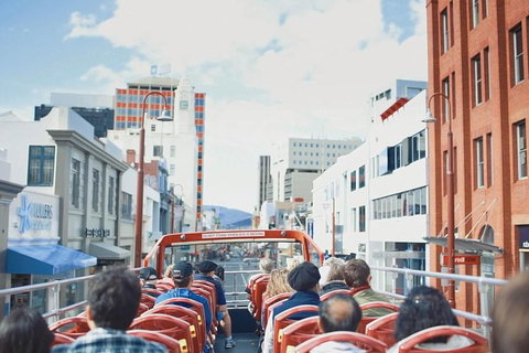 Hobart Hop-on Hop-off Bus Tour - New Castle Tourism 5