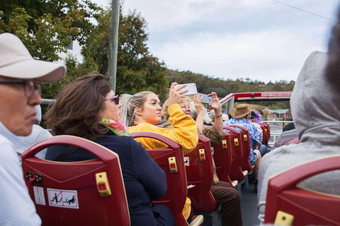 Hobart Hop-on Hop-off Bus Tour - New Castle Tourism 10