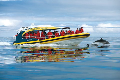 3-Hour Tasman Peninsula Wilderness Cruise From Port Arthur - Newcastle Accommodation 5