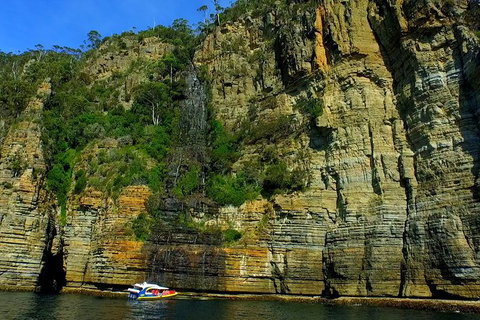 3-Hour Tasman Peninsula Wilderness Cruise From Port Arthur - Newcastle Accommodation 7