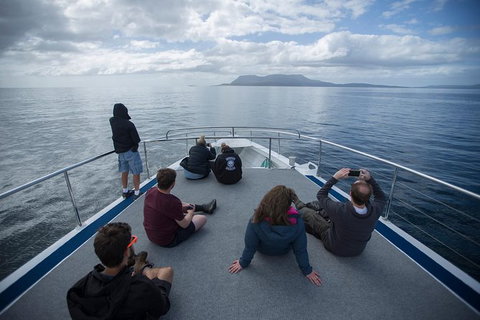 Maria Island Active Day Trip From Hobart - New Castle Tourism 13