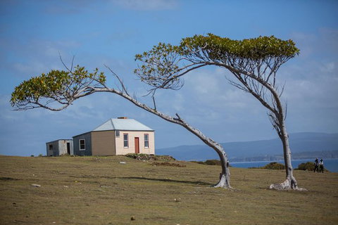 Maria Island Active Day Trip From Hobart - New Castle Tourism 3