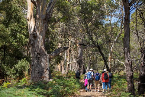 Maria Island Active Day Trip From Hobart - New Castle Tourism 12