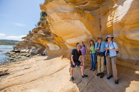 Maria Island Active Day Trip From Hobart - New Castle Tourism 7