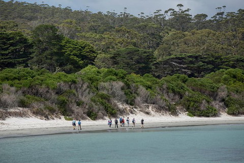 Maria Island Active Day Trip From Hobart - New Castle Tourism 11