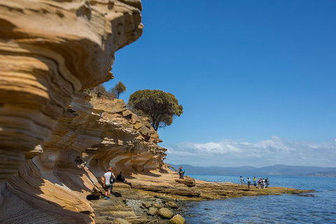 Maria Island Active Day Trip From Hobart - New Castle Tourism 5