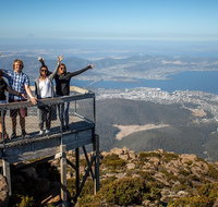 Mt Field National Park Active Day-Trip Including Bonorong and Mt Wellington - New Castle Tourism