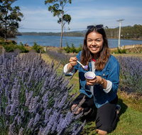 Port Arthur and Lavender Farm Active Day Tour - New Castle Tourism
