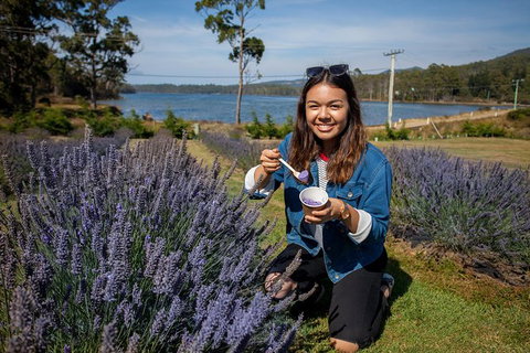 Port Arthur And Lavender Farm Active Day Tour - New Castle Tourism 0