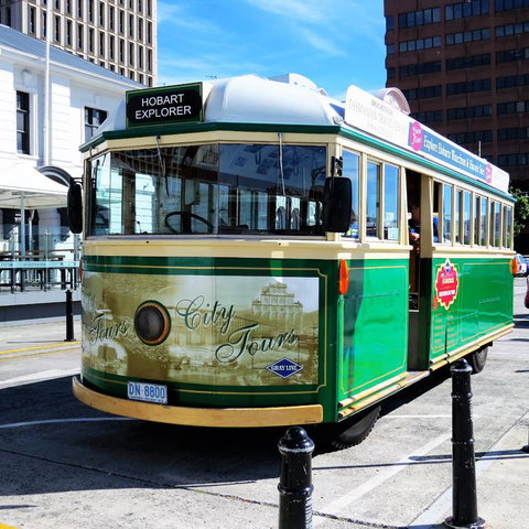 Hobart Half-Day Sightseeing Coach Tram Tour - New Castle Tourism 12