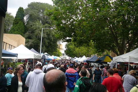 Hobart Half-Day Sightseeing Coach Tram Tour - New Castle Tourism 0