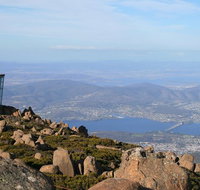 Mt Wellington Tour and MONA Admission - New Castle Tourism