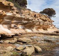 Maria Island premium private photo-oriented day tour from Hobart - New Castle Tourism