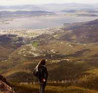 Mt Wellington Half Day Guided Summit Hike - New Castle Tourism