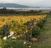 Mona and Wine Experience Tour - New Castle Tourism