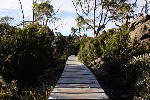Mount Field National Park - Tarn Shelf & Russell Falls - Guided Hiking Tour - New Castle Tourism 5