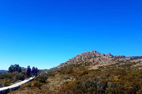 Mount Field National Park - Tarn Shelf & Russell Falls - Guided Hiking Tour - New Castle Tourism 6
