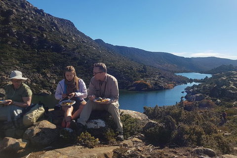 Mount Field National Park - Tarn Shelf & Russell Falls - Guided Hiking Tour - New Castle Tourism 8