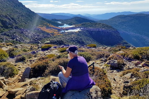 Mount Field National Park - Tarn Shelf & Russell Falls - Guided Hiking Tour - New Castle Tourism 11