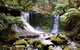 Mount Field National Park - Tarn Shelf & Russell Falls - Guided Hiking Tour - thumb 10