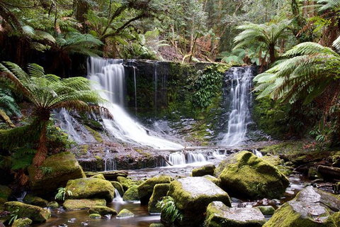 Mount Field National Park - Tarn Shelf & Russell Falls - Guided Hiking Tour - New Castle Tourism 10