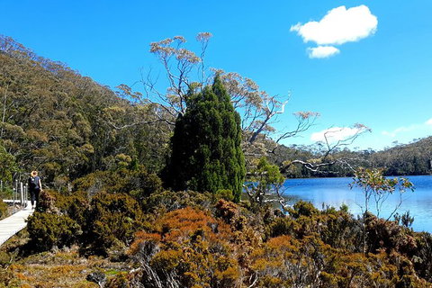 Mount Field National Park - Tarn Shelf & Russell Falls - Guided Hiking Tour - New Castle Tourism 3