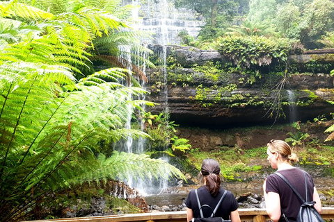 Mount Field National Park - Tarn Shelf & Russell Falls - Guided Hiking Tour - New Castle Tourism 4