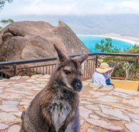 Wineglass Bay  Freycinet NP Full Day Tour from Hobart via Richmond Village - New Castle Tourism