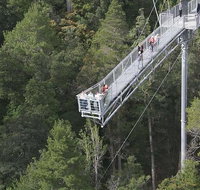 Cruise Ship Special from Hobart Mt Wellington and Tahune AirWalk - New Castle Tourism