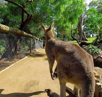 Wilderness and Wildlife - New Castle Tourism