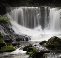 Mt Field National Park premium private photo-oriented day tour from Hobart - New Castle Tourism